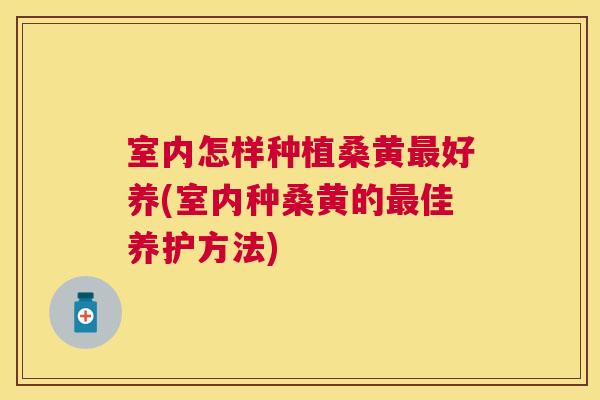 室内怎样种植桑黄好养(室内种桑黄的佳养护方法) 室内怎样种植桑黄好养(室内种桑黄的佳养护方法)