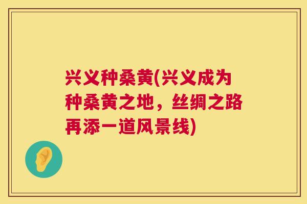 兴义种桑黄(兴义成为种桑黄之地,丝绸之路再添一道风景线) 兴义种桑黄(兴义成为种桑黄之地,丝绸之路再添一道风景线)