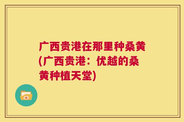 广西贵港在那里种桑黄(广西贵港：优越的桑黄种植天堂)