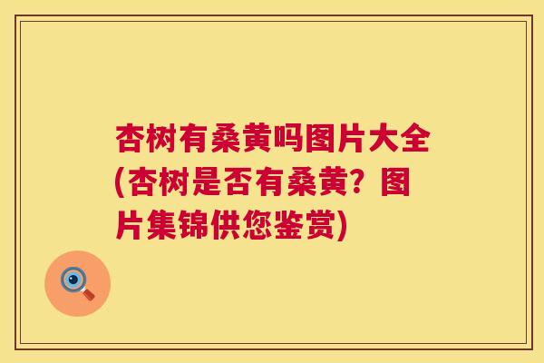 杏树有桑黄吗图片大全(杏树是否有桑黄?图片集锦供您鉴赏) 杏树有桑黄吗图片大全(杏树是否有桑黄?图片集锦供您鉴赏)