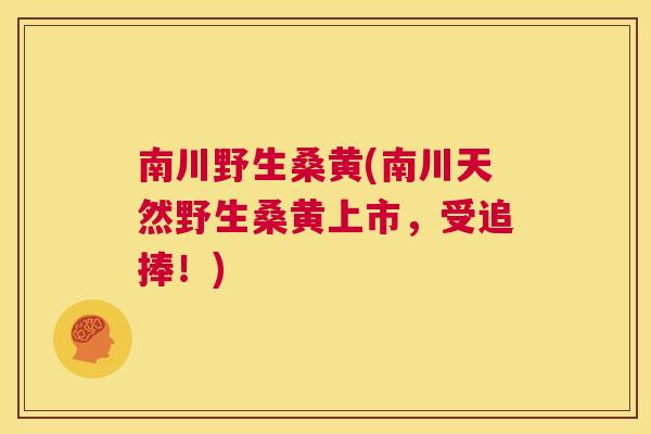 南川野生桑黄(南川天然野生桑黄上市,受追捧!) 南川野生桑黄(南川天然野生桑黄上市,受追捧!)