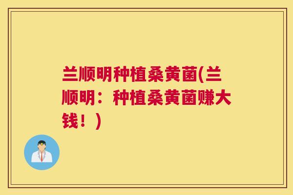 兰顺明种植桑黄菌(兰顺明:种植桑黄菌赚大钱!) 兰顺明种植桑黄菌(兰顺明:种植桑黄菌赚大钱!)