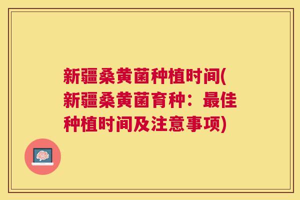 新疆桑黄菌种植时间(新疆桑黄菌育种:佳种植时间及注意事项) 新疆桑黄菌种植时间(新疆桑黄菌育种:佳种植时间及注意事项)