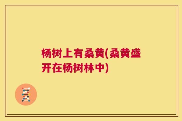 杨树上有桑黄(桑黄盛开在杨树林中) 杨树上有桑黄(桑黄盛开在杨树林中)