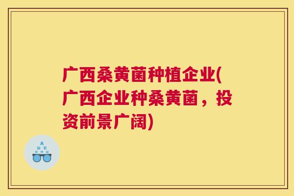 广西桑黄菌种植企业(广西企业种桑黄菌,投资前景广阔) 广西桑黄菌种植企业(广西企业种桑黄菌,投资前景广阔)