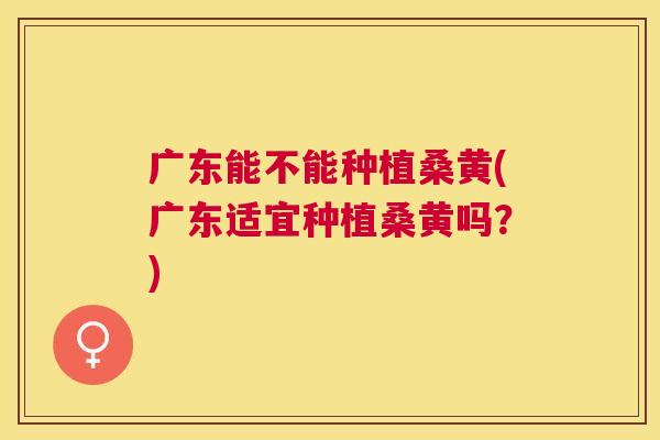 广东能不能种植桑黄(广东适宜种植桑黄吗?) 广东能不能种植桑黄(广东适宜种植桑黄吗?)