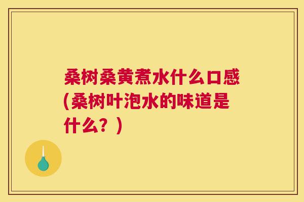 桑树桑黄煮水什么口感(桑树叶泡水的味道是什么?) 桑树桑黄煮水什么口感(桑树叶泡水的味道是什么?)