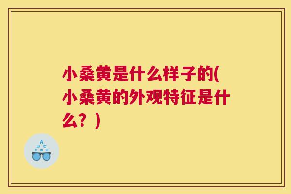 小桑黄是什么样子的(小桑黄的外观特征是什么?) 小桑黄是什么样子的(小桑黄的外观特征是什么?)
