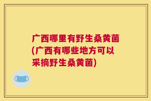 广西哪里有野生桑黄菌(广西有哪些地方可以采摘野生桑黄菌) 广西哪里有野生桑黄菌(广西有哪些地方可以采摘野生桑黄菌)