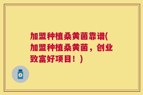 加盟种植桑黄菌靠谱(加盟种植桑黄菌,创业致富好项目!) 加盟种植桑黄菌靠谱(加盟种植桑黄菌,创业致富好项目!)