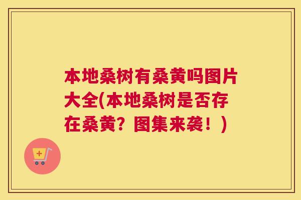 本地桑树有桑黄吗图片大全(本地桑树是否存在桑黄?图集来袭!) 本地桑树有桑黄吗图片大全(本地桑树是否存在桑黄?图集来袭!)
