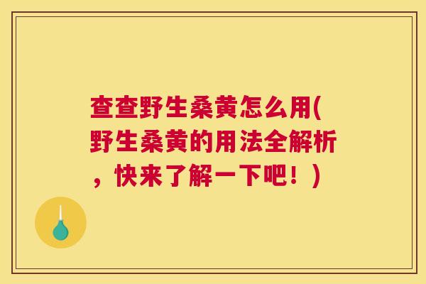 查查野生桑黄怎么用(野生桑黄的用法全解析,快来了解一下吧!) 查查野生桑黄怎么用(野生桑黄的用法全解析,快来了解一下吧!)
