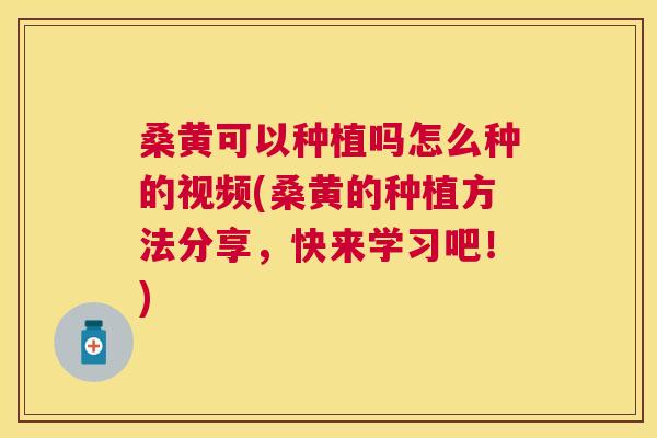 桑黄可以种植吗怎么种的视频(桑黄的种植方法分享,快来学习吧!) 桑黄可以种植吗怎么种的视频(桑黄的种植方法分享,快来学习吧!)