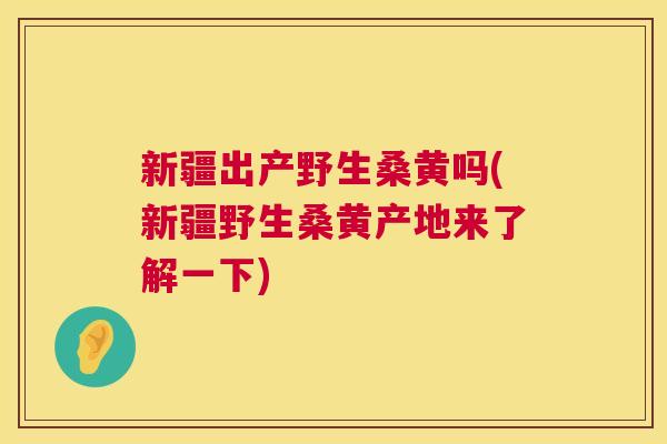 新疆出产野生桑黄吗(新疆野生桑黄产地来了解一下) 新疆出产野生桑黄吗(新疆野生桑黄产地来了解一下)