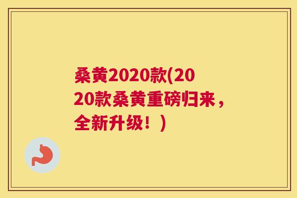 桑黄2020款(2020款桑黄重磅归来,全新升级!) 桑黄2020款(2020款桑黄重磅归来,全新升级!)