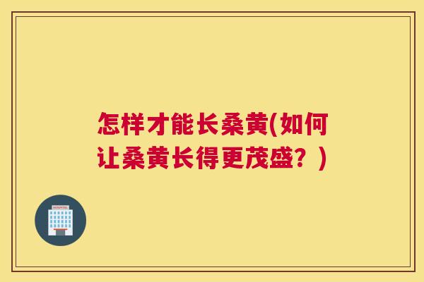 怎样才能长桑黄(如何让桑黄长得更茂盛?) 怎样才能长桑黄(如何让桑黄长得更茂盛?)