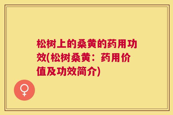 松树上的桑黄的药用功效(松树桑黄:药用价值及功效简介) 松树上的桑黄的药用功效(松树桑黄:药用价值及功效简介)