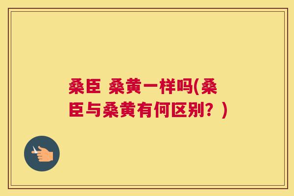 桑臣 桑黄一样吗(桑臣与桑黄有何区别?) 桑臣 桑黄一样吗(桑臣与桑黄有何区别?)