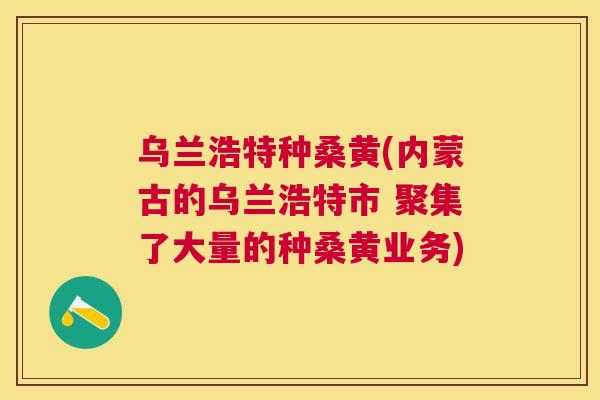 乌兰浩特种桑黄(内蒙古的乌兰浩特市 聚集了大量的种桑黄业务) 乌兰浩特种桑黄(内蒙古的乌兰浩特市 聚集了大量的种桑黄业务)