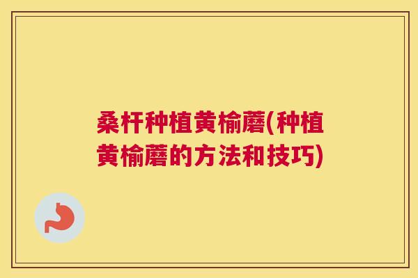 桑杆种植黄榆蘑(种植黄榆蘑的方法和技巧)