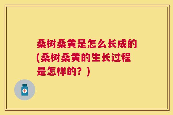 桑树桑黄是怎么长成的(桑树桑黄的生长过程是怎样的?) 桑树桑黄是怎么长成的(桑树桑黄的生长过程是怎样的?)