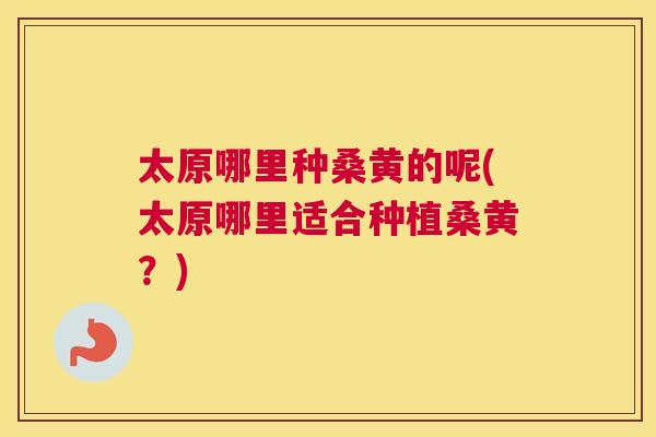太原哪里种桑黄的呢(太原哪里适合种植桑黄?) 太原哪里种桑黄的呢(太原哪里适合种植桑黄?)