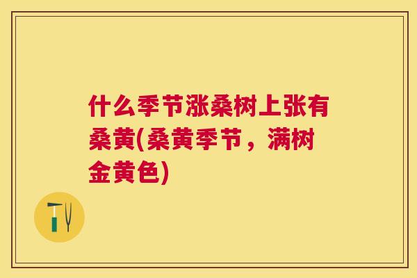 什么季节涨桑树上张有桑黄(桑黄季节，满树金黄色)