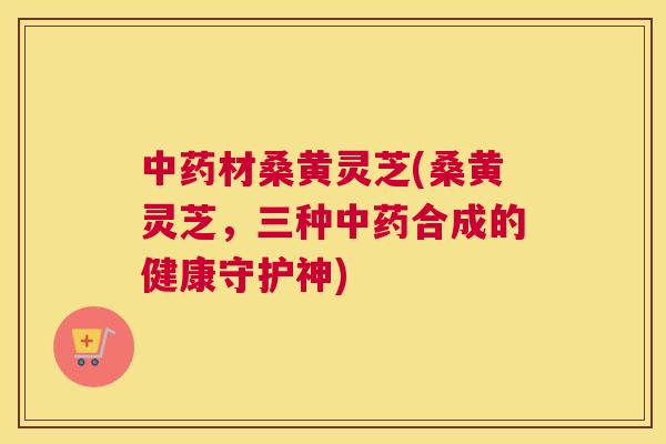 材桑黄灵芝(桑黄灵芝,三种合成的健康守护神) 材桑黄灵芝(桑黄灵芝,三种合成的健康守护神)