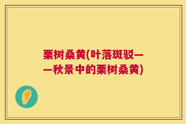 栗树桑黄(叶落斑驳——秋景中的栗树桑黄) 栗树桑黄(叶落斑驳——秋景中的栗树桑黄)