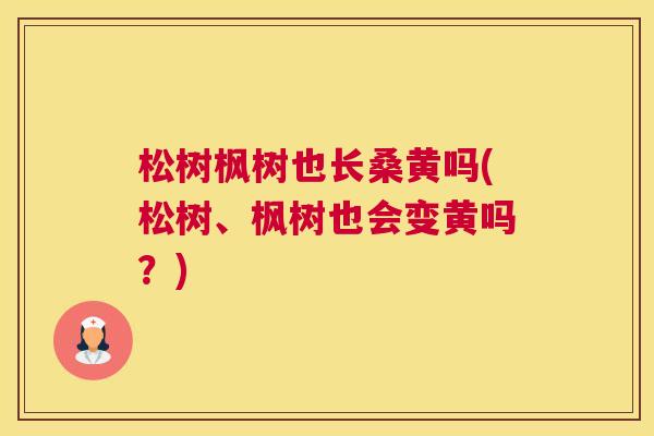 松树枫树也长桑黄吗(松树、枫树也会变黄吗？)