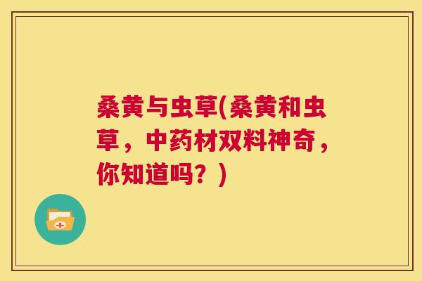 桑黄与虫草(桑黄和虫草,材双料神奇,你知道吗?) 桑黄与虫草(桑黄和虫草,材双料神奇,你知道吗?)