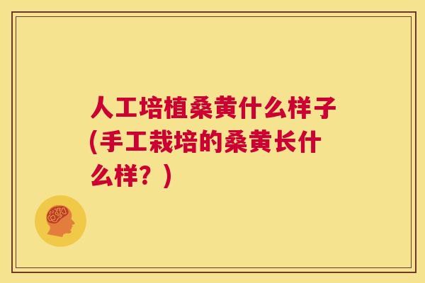 人工培植桑黄什么样子(手工栽培的桑黄长什么样?) 人工培植桑黄什么样子(手工栽培的桑黄长什么样?)