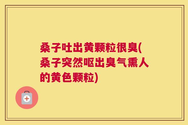 桑子吐出黄颗粒很臭(桑子突然呕出臭气熏人的黄色颗粒) 桑子吐出黄颗粒很臭(桑子突然呕出臭气熏人的黄色颗粒)