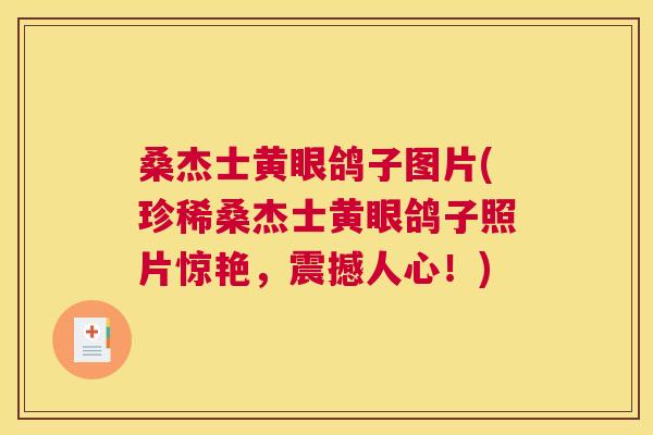 桑杰士黄眼鸽子图片(珍稀桑杰士黄眼鸽子照片惊艳,震撼人心!) 桑杰士黄眼鸽子图片(珍稀桑杰士黄眼鸽子照片惊艳,震撼人心!)