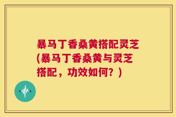 暴马丁香桑黄搭配灵芝(暴马丁香桑黄与灵芝搭配,功效如何?) 暴马丁香桑黄搭配灵芝(暴马丁香桑黄与灵芝搭配,功效如何?)