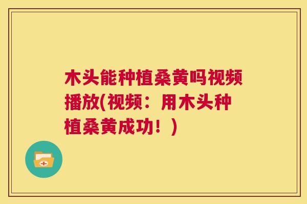木头能种植桑黄吗视频播放(视频:用木头种植桑黄成功!) 木头能种植桑黄吗视频播放(视频:用木头种植桑黄成功!)