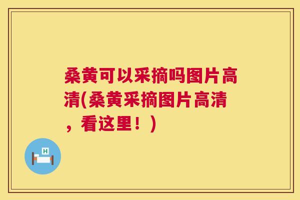 桑黄可以采摘吗图片高清(桑黄采摘图片高清,看这里!) 桑黄可以采摘吗图片高清(桑黄采摘图片高清,看这里!)