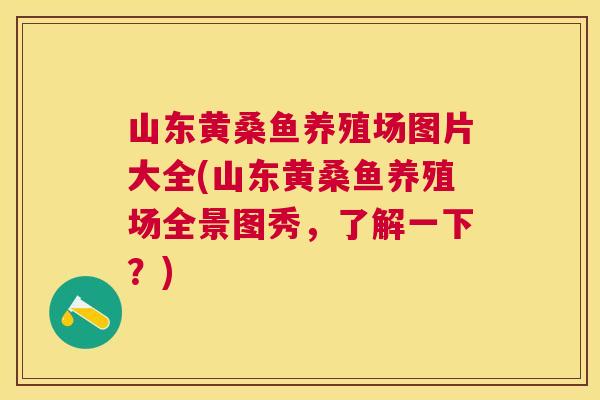 山东黄桑鱼养殖场图片大全(山东黄桑鱼养殖场全景图秀,了解一下?) 山东黄桑鱼养殖场图片大全(山东黄桑鱼养殖场全景图秀,了解一下?)