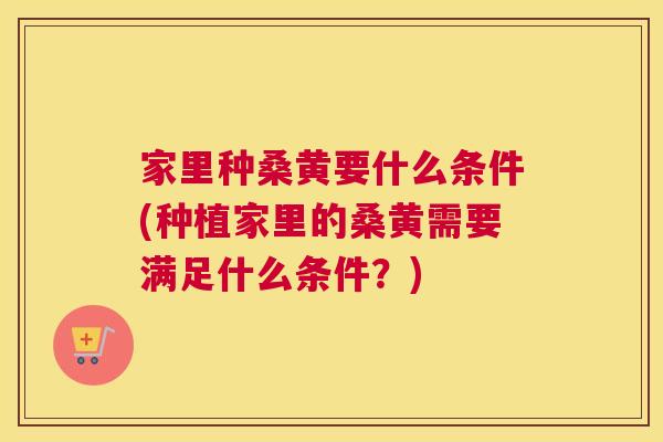 家里种桑黄要什么条件(种植家里的桑黄需要满足什么条件?) 家里种桑黄要什么条件(种植家里的桑黄需要满足什么条件?)