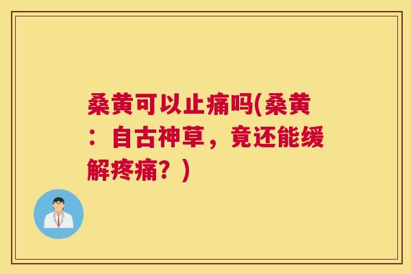 桑黄可以吗(桑黄:自古神草,竟还能缓解?) 桑黄可以吗(桑黄:自古神草,竟还能缓解?)