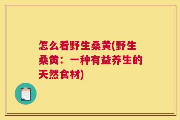 怎么看野生桑黄(野生桑黄:一种有益养生的天然食材) 怎么看野生桑黄(野生桑黄:一种有益养生的天然食材)