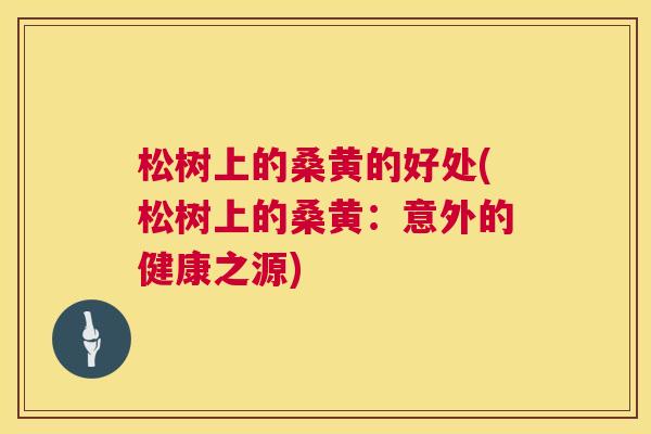 松树上的桑黄的好处(松树上的桑黄：意外的健康之源)