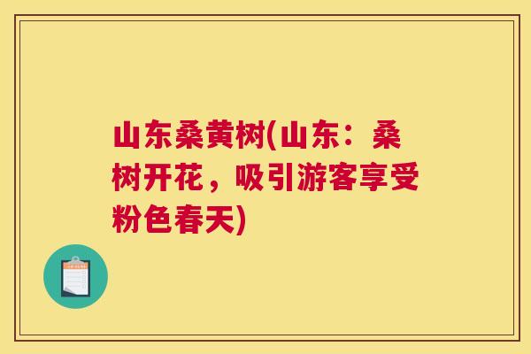 山东桑黄树(山东:桑树开花,吸引游客享受粉色春天) 山东桑黄树(山东:桑树开花,吸引游客享受粉色春天)