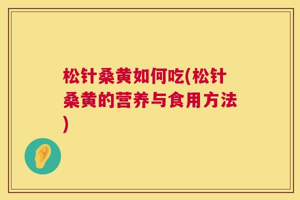 松针桑黄如何吃(松针桑黄的营养与食用方法) 松针桑黄如何吃(松针桑黄的营养与食用方法)