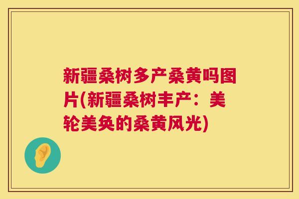 新疆桑树多产桑黄吗图片(新疆桑树丰产：美轮美奂的桑黄风光)