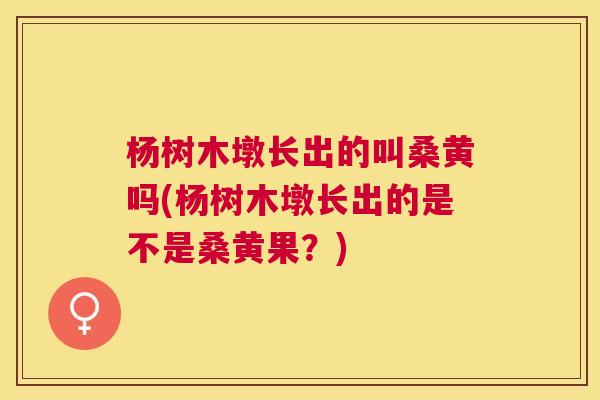 杨树木墩长出的叫桑黄吗(杨树木墩长出的是不是桑黄果？)