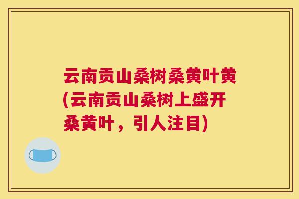 云南贡山桑树桑黄叶黄(云南贡山桑树上盛开桑黄叶,引人注目) 云南贡山桑树桑黄叶黄(云南贡山桑树上盛开桑黄叶,引人注目)