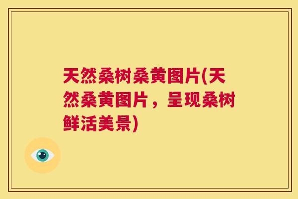 天然桑树桑黄图片(天然桑黄图片,呈现桑树鲜活美景) 天然桑树桑黄图片(天然桑黄图片,呈现桑树鲜活美景)