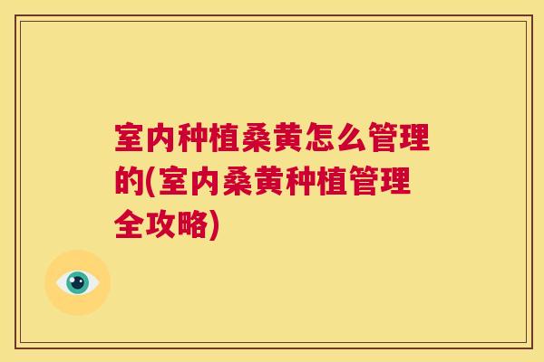 室内种植桑黄怎么管理的(室内桑黄种植管理全攻略) 室内种植桑黄怎么管理的(室内桑黄种植管理全攻略)