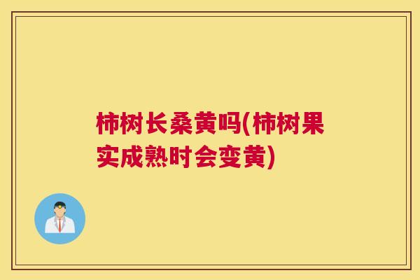 柿树长桑黄吗(柿树果实成熟时会变黄) 柿树长桑黄吗(柿树果实成熟时会变黄)
